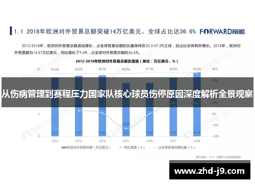 从伤病管理到赛程压力国家队核心球员伤停原因深度解析全景观察